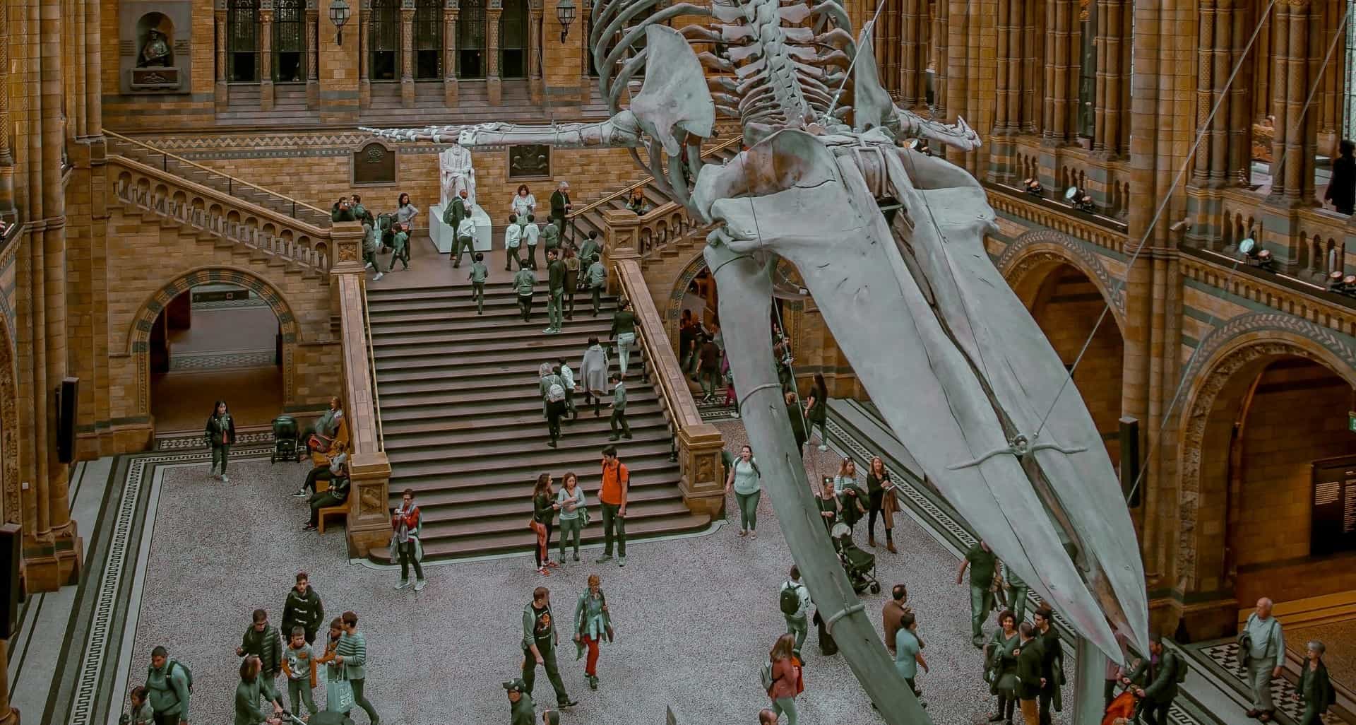 Visitors entering the Community Science Museum in the main hall