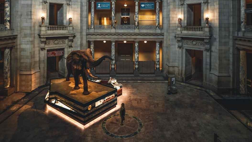 The csm museum seen at night, to capture the essence of the sleepover event