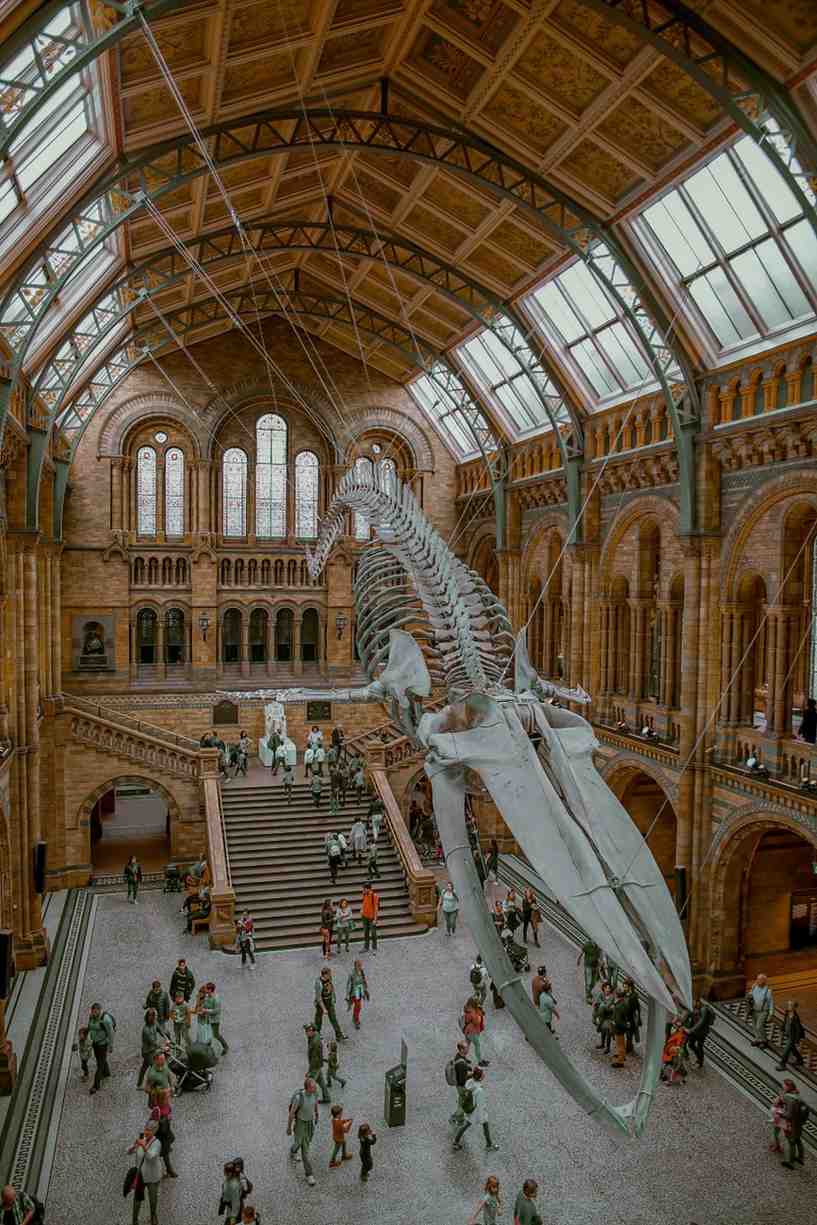 Visitors entering the Community Science Museum in the main hall